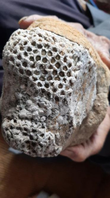 Dağda gezen adamın bulduğu taş şok etti - Resim : 3