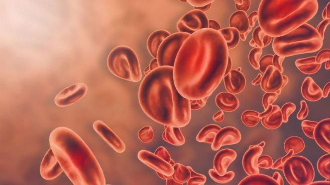 Bu dut kürü kandaki iltihabı kurutuyor - Resim : 2