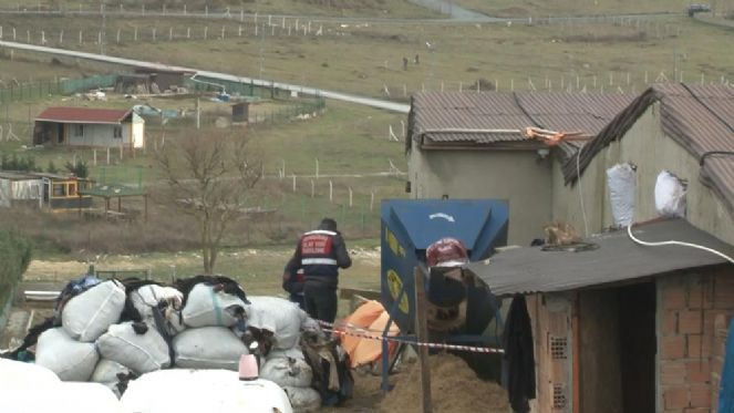 Çoban yem makinesine düştü - Resim : 3