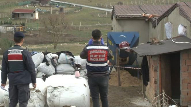 Çoban yem makinesine düştü - Resim : 7