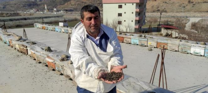 Milyonlarca arı uykusuzluktan öldü - Resim : 7