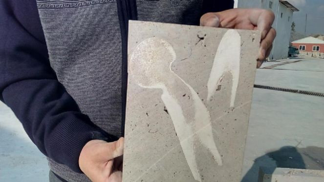 Kesim yaparken buldu Fransız ilim insanları Denizli'ye akın etti - Resim : 4