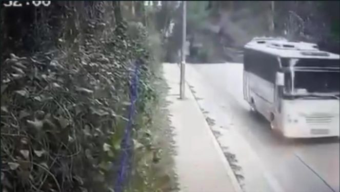 Antalya'da fırtınanın devirdiği ağaç faciaya sebep oluyordu - Resim : 1