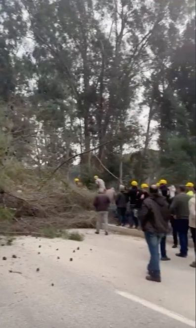 Antalya'da fırtınanın devirdiği ağaç faciaya sebep oluyordu - Resim : 3
