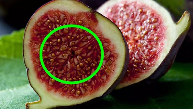 Okuyunca şoke olacaksınız! - Resim : 3