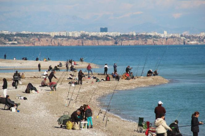 Antalya'da oltasını alan sahile koştu. Sahilde çupra akını - Resim : 2