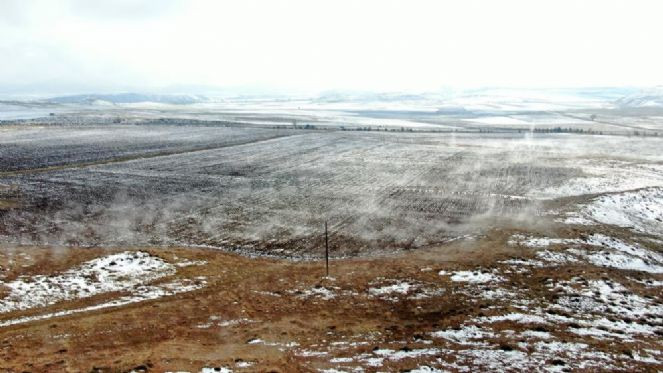 Esrarengiz tarla merak konusu oldu - Resim : 2