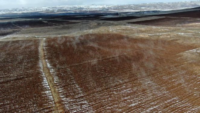 Esrarengiz tarla merak konusu oldu - Resim : 4