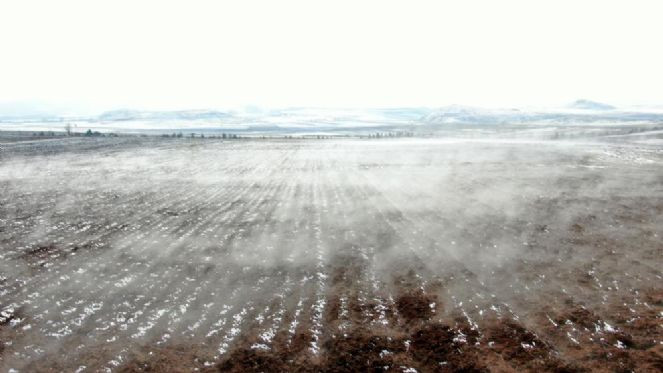 Esrarengiz tarla merak konusu oldu - Resim : 5