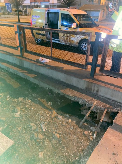 Soğukta yedi yavrusuyla kaldırım kenarına sığınan köpek kurtarıldı - Resim : 3