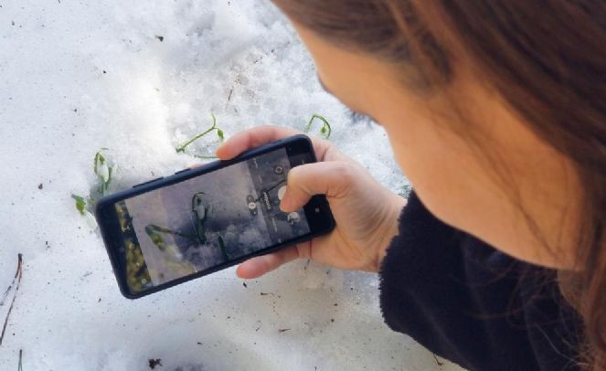 Bu çiçeği koparan 2. el otomobil parası kadar ceza ödeyecek - Resim : 7