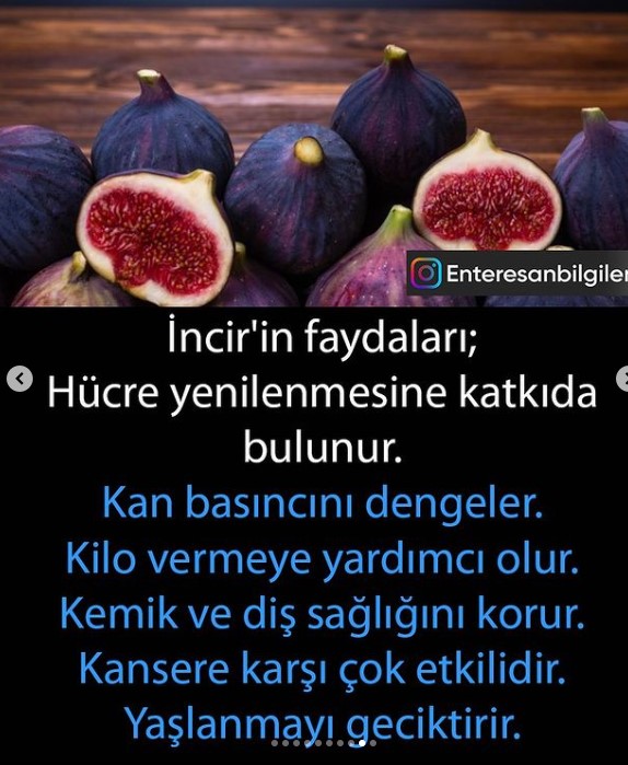 İncir nelere iyi geliyor? İncir diğer meyveler gibi çiçek açmaz. Aslında incir bir meyve bile değildir ters açan çiçeklerdir. İncir hangi hastalıkları iyi ediyor?