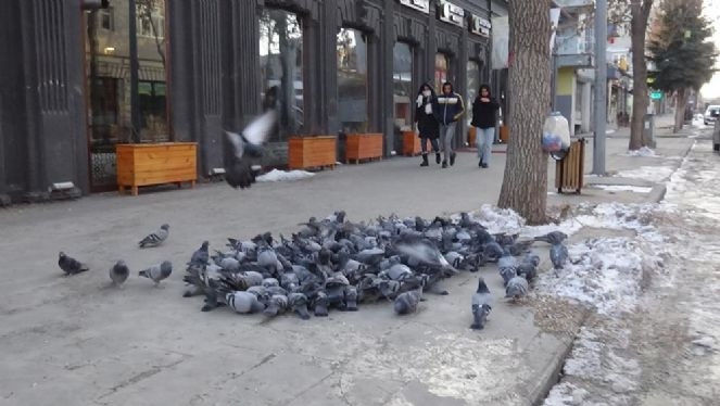 Doğunun en soğuk şehri eksi 22'yi gördü - Resim : 6