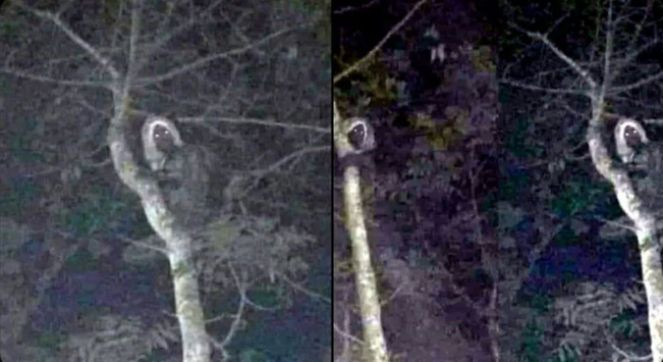 Ülke bu fotoğrafla çalkalanıyor. Bu aluş gibi görünüyor. Her şey mistik - Resim : 3