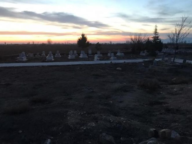 Mezarlıkta şok eden olay. Bedeninin yarısı toprağa gömülü kadın cesedi bulundu - Resim : 1