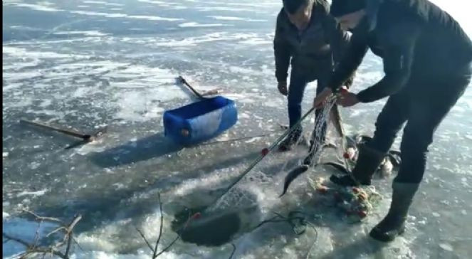 Eskimo usulü balık avı - Resim : 3