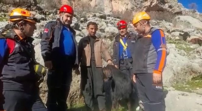 500 metrelik uçurumda kurtarma operasyonu - Resim : 2