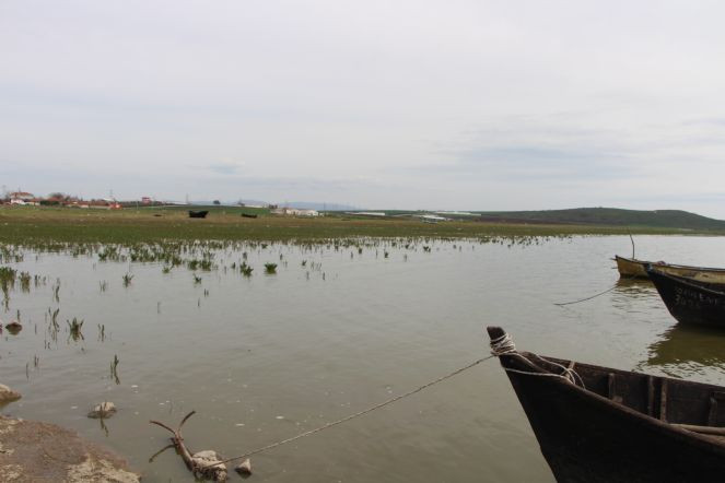 Manyas Kuş Gölü'ndeki kuraklık balıkçıları olumsuz etkiledi - Resim : 3
