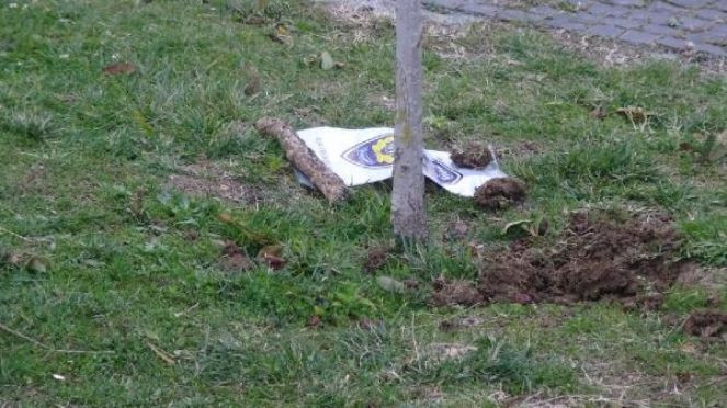 Atık su deposundan cenin çıktı - Resim : 1