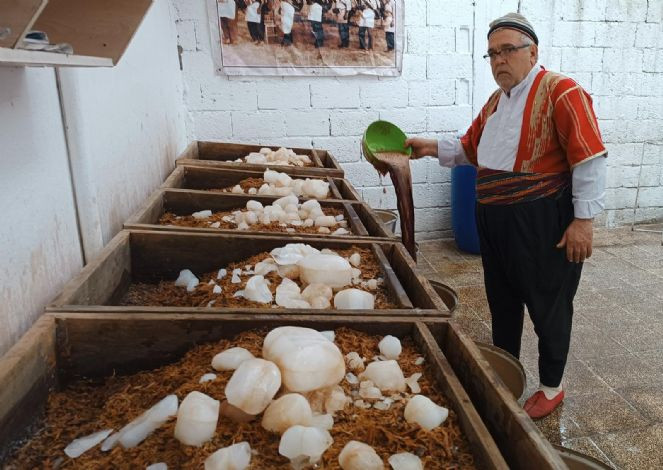 Güneydoğu'nun doğal kolası şifa deposu - Resim : 1