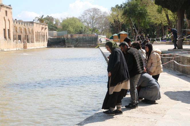 Balıklıgöl'ün balıkları ortaya çıktı - Resim : 2