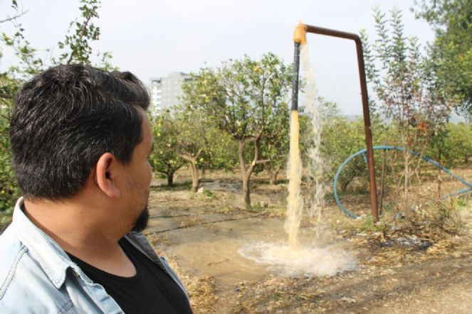 Gözlerine inanamadı. Çiftçi bahçesini sularken fark etti. - Resim : 1