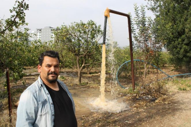 Gözlerine inanamadı. Çiftçi bahçesini sularken fark etti. - Resim : 5