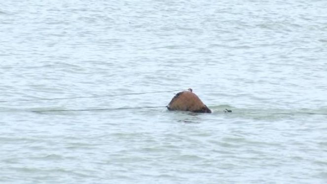 Ordu'da denizde bulunan cisim, SAS ekiplerince imha edildi - Resim : 1
