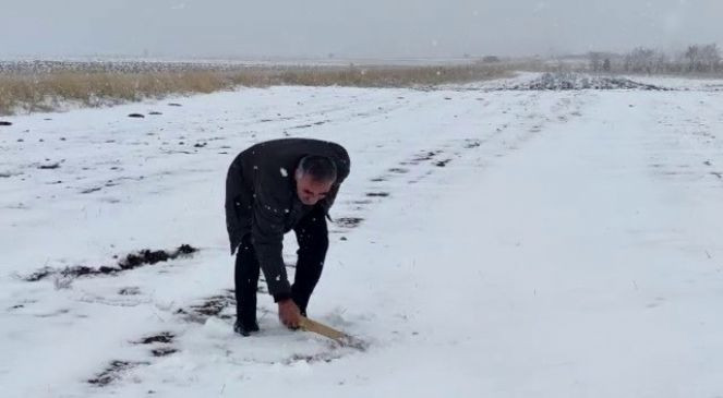 Kar çiftçiyi sevindirdi - Resim : 1