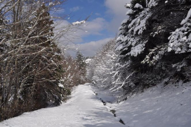 Abant'a Mart karı yağdı - Resim : 1
