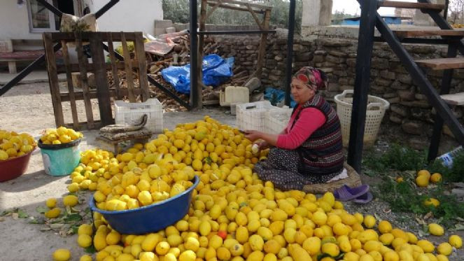 3 TL'ye alıyorlar 18 TL'ye satıyorlar - Resim : 1
