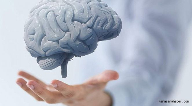 Bunları yapan aklını yitirmiyor - Resim : 1