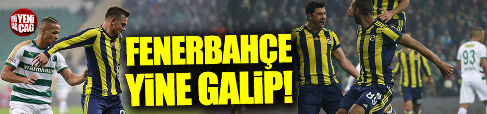 Bursaspor Fenerbahçe: 0-1 / Maç özeti