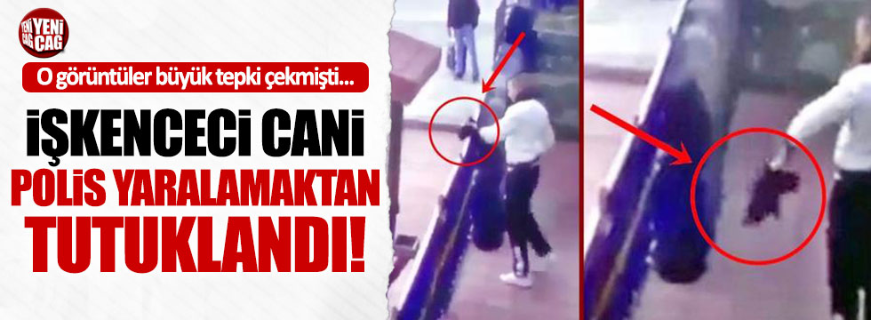 Kediye işkence eden er polis yaralamaktan tutuklandı