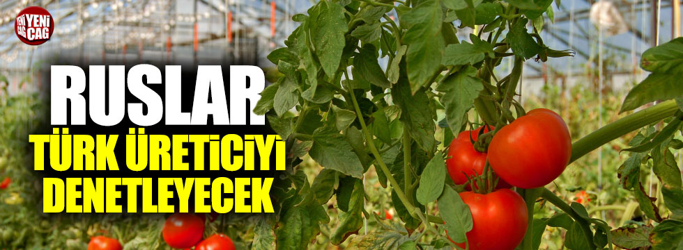Ruslar, Türk domates üreticisini denetleyecek