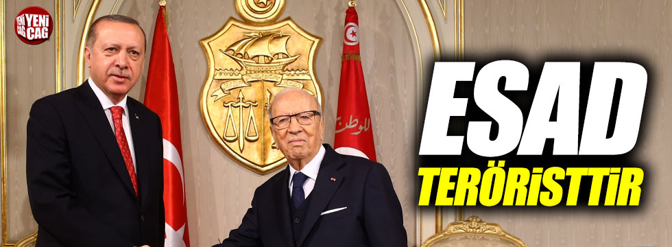 Erdoğan'dan Esad'a: "Terörist"