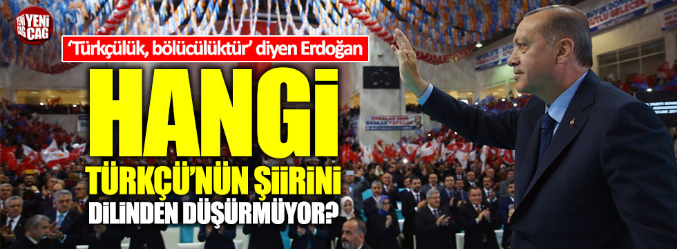 Erdoğan, hangi Türkçü'nün şiirini dilinden düşürmüyor?