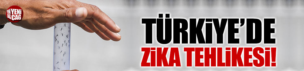 Rusya'dan 'Türkiye'de Zika virüsüne rastlandı' uyarısı