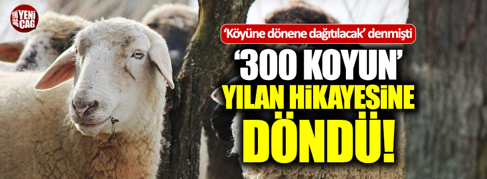 Fakıbaba'dan "300 koyun" açıklaması