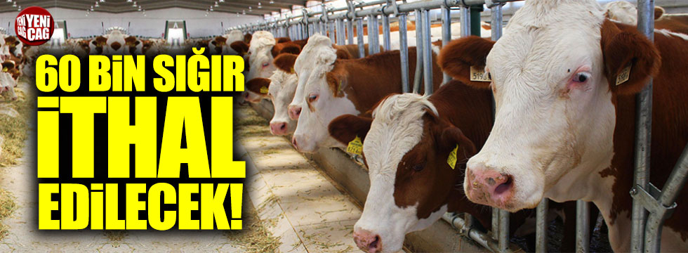 Et ve Süt Kurumu, 60.000 sığır ithal edecek