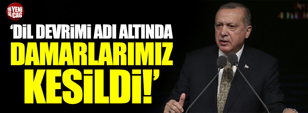 Cumhurbaşkanı Erdoğan: Dil devrimi adı altında damarlarımız kesildi