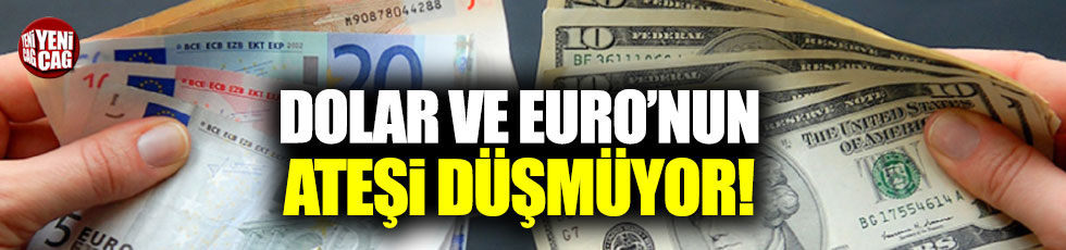Dolar yükseliyor, Euro yine rekor kırdı
