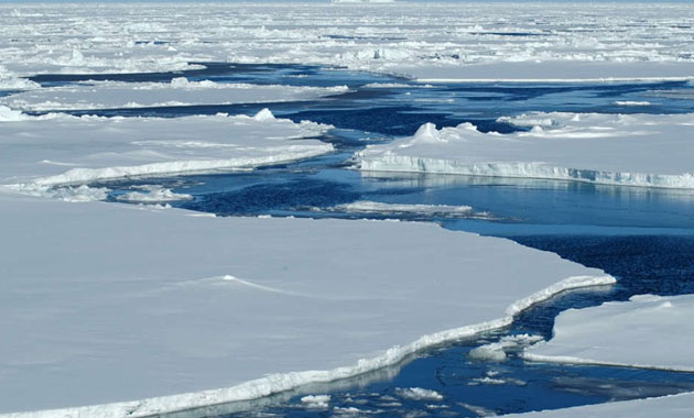 Arktik deniz buzu tarihin en düşük seviyesinde