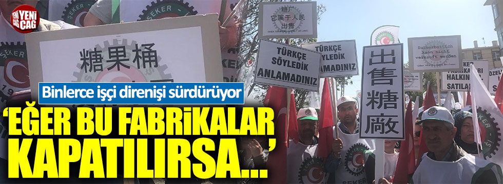 Türk İş: "Eğer şeker fabrikaları kapatılırsa..."