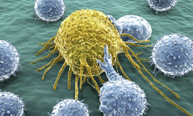 Kanserin vücutta yayılmasına yol açan hücreler tespit edildi