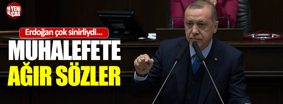 Erdoğan: "Gökten zembille inmedik"