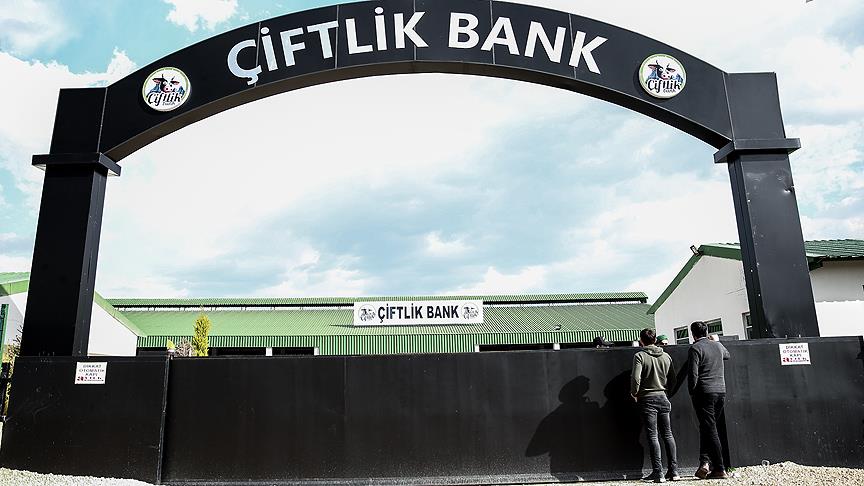 Çiftlik Bank firarisi Türkiye'ye getirildi