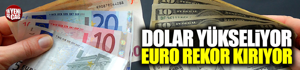Dolar ve euro yükselişini sürdüryor
