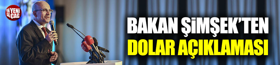 Mehmet Şimşek'ten dolar açıklaması