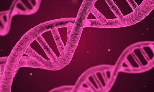 Ucuza maliyetli hızlı DNA sentezleme yöntemi geliştirildi
